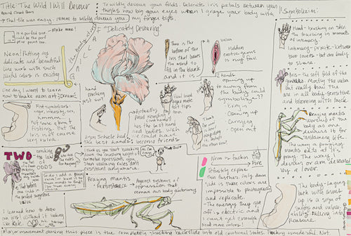 The Wild I Will Devour Storyboard