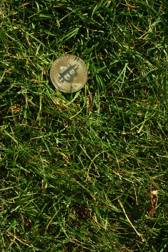 Bitcoin in the Mundane