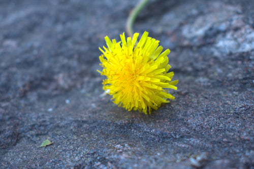 Magic in the Mundane